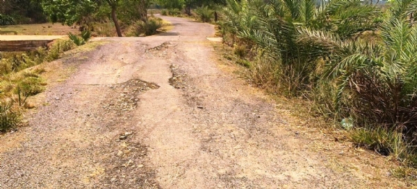 DHAMNAGAR RA RASTA MARANA JANTA