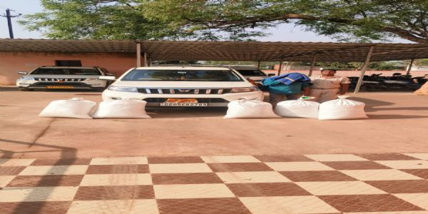 ୧କ୍ୟୁଣ୍ଟାଲ ଗଞ୍ଜେଇ ଜବତ ଜଣେ ଗିରଫ