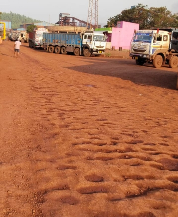 Palnt side road problem