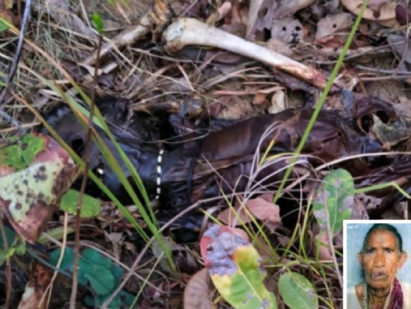 ଜଙ୍ଗଲରୁ ବୃଦ୍ଧାଙ୍କ କଙ୍କାଳ ଶବ ଉଦ୍ଧାର ।