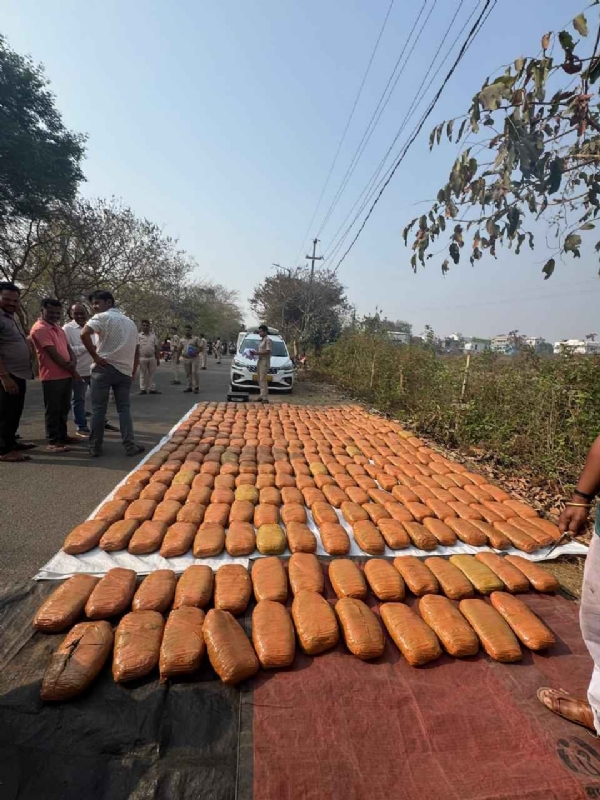 ସୁବର୍ଣ୍ଣପୁର ପୋଲିସ କୁ ବଡ଼ ସଫଳତା*-୮ କ୍ଵିଣ୍ଟାଲ ୯୧ କେଜି ଗଞ୍ଜେଇ ଜବତ; ୧ ଗିରଫ*- *