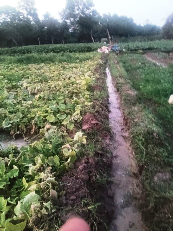 ADINIA BARSA FASALA UJUDILA