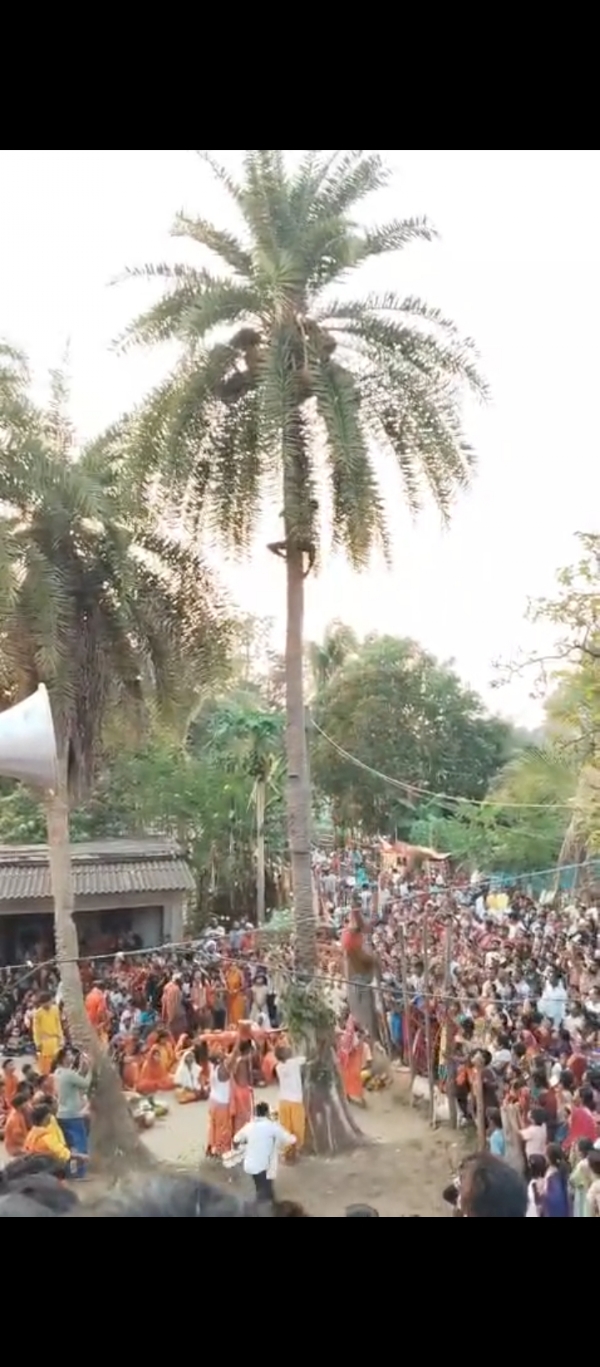 ଖଜୁରୀ ଗଛରୁ ପଡି ଯୁବକଙ୍କ ମୃତ୍ୟୁ