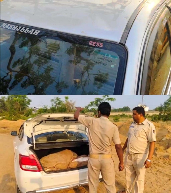 GORU MANSA BOJHEI CAR JABAT