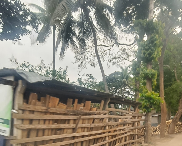 ବ୍ରହ୍ମବରଦାରେ ବେଆଇନଭାବେ ଚାଲିଛି କାଠ ଡିପୋ : କାର୍ଯ୍ୟାନୁଷ୍ଠାନ ଦାବି କଲେ ଅଂଚଳବାସୀ