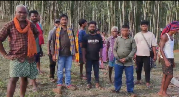 ଜଙ୍ଗଳରେ ଗଛ ଲଗାଇବାକୁ ବିରୋଧ