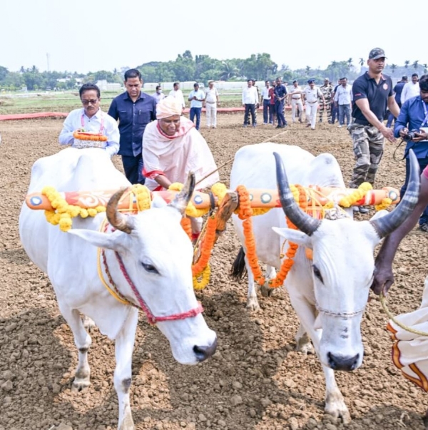 ଅକ୍ଷୟ ତୃତୀୟା