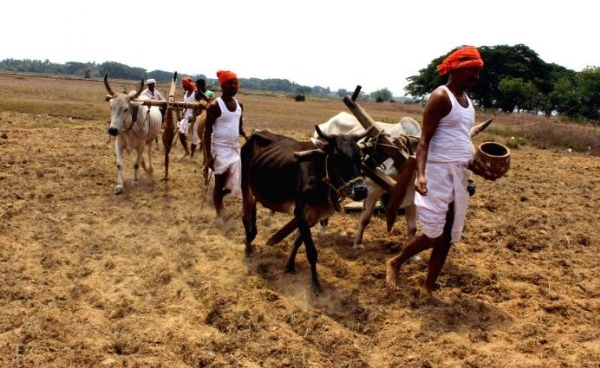 ଅକ୍ଷୟ ତୃତୀୟା