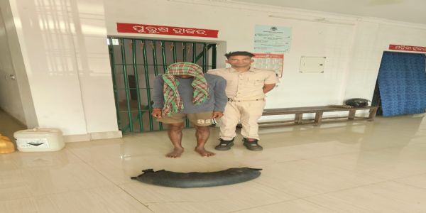 ଦେଶି ମଦ ଚାଲାଣ ବେଳେ ଜଣେ ଗିରଫ