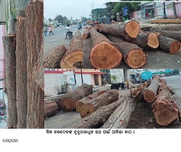 ସିଦ୍ଧ ବଳଦେବଙ୍କ ବ୍ରହ୍ମତାଳଧ୍ୱଜ ରଥ ପାଇଁ ଆସିଲାକାଠ ।