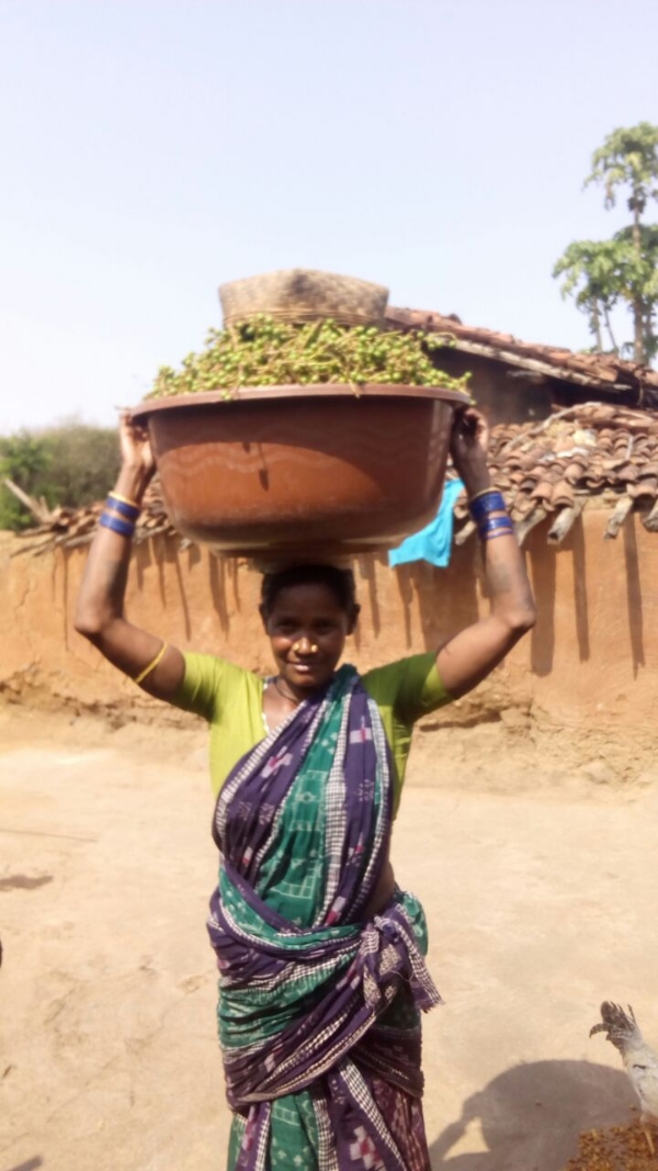 Chahar manji abhabi bikri