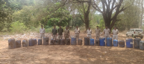 ନିଳାଗୁଡା ଜଙ୍ଗଲରେ  ଅବକାରି ଚଢାଉ