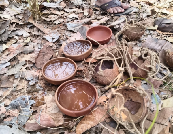 ଅଦରକାରି ନଡିଆ କାଂଚିରେ ନିର୍ମାଣ ହୋଇଛି ଜଳପାତ୍ର ପକ୍ଷୀଙ୍କ ପାଇଁ ଜଳଦାନ, ଅଭିନବ ପ୍ରୟାସରେ ୧୦୦ ଗୋଟି ଗଛରେ ଲଗାଇଲେ