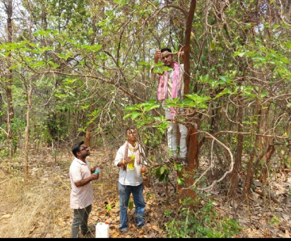 ଅଦରକାରି ନଡିଆ କାଂଚିରେ ନିର୍ମାଣ ହୋଇଛି ଜଳପାତ୍ର ପକ୍ଷୀଙ୍କ ପାଇଁ ଜଳଦାନ, ଅଭିନବ ପ୍ରୟାସରେ ୧୦୦ ଗୋଟି ଗଛରେ ଲଗାଇଲେ