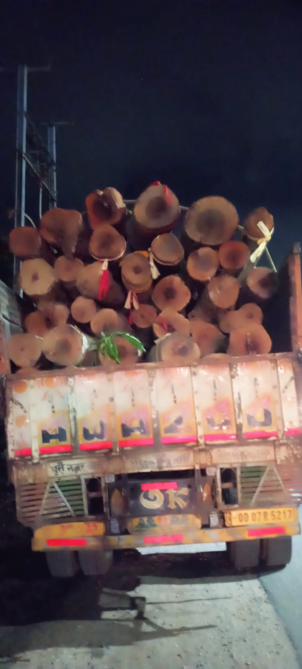 ରଥଖଳା ରେ ଘୁମୁସର ରୁ ୨୮ ଖଣ୍ଡ କାଠ ପହଁଚିଲା