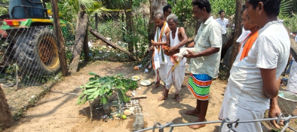 କୃଷୁୱାଡାରେ ବାଲ୍ମିକୀ ସମାଜର ଦୁଆରୀ ପରିବାରର ପାରମ୍ପରିକ ଆମ୍ବ ଉତ୍ସବ