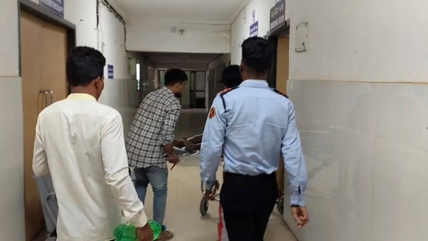 ଭାଲୁ ଆକ୍ରମଣରେ ଜଣେ ଗୁରୁତର