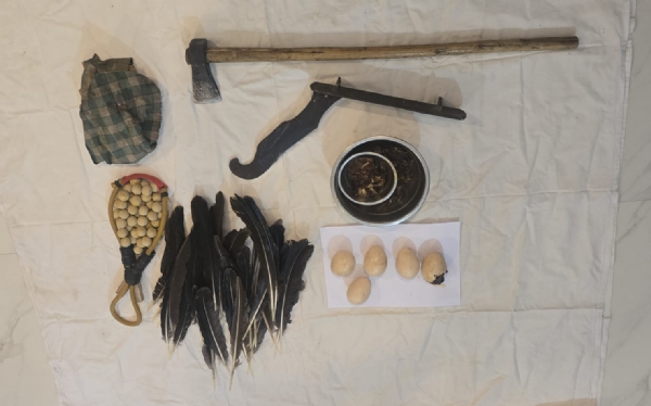 ଦେବ୍ରିଗଡ଼ ଅଭୟାରଣ୍ୟ ନିକଟରୁ ମୟୂର ମାଂସ ଓ ଅଣ୍ଡା ଜବତ : ଶିକାରୀ ଦମ୍ପତି ଗିରଫ