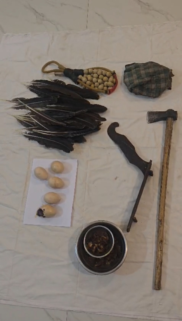 ଦେବ୍ରିଗଡ଼ ଅଭୟାରଣ୍ୟ ନିକଟରୁ ମୟୂର ମାଂସ ଓ ଅଣ୍ଡା ଜବତ : ଶିକାରୀ ଦମ୍ପତି ଗିରଫ