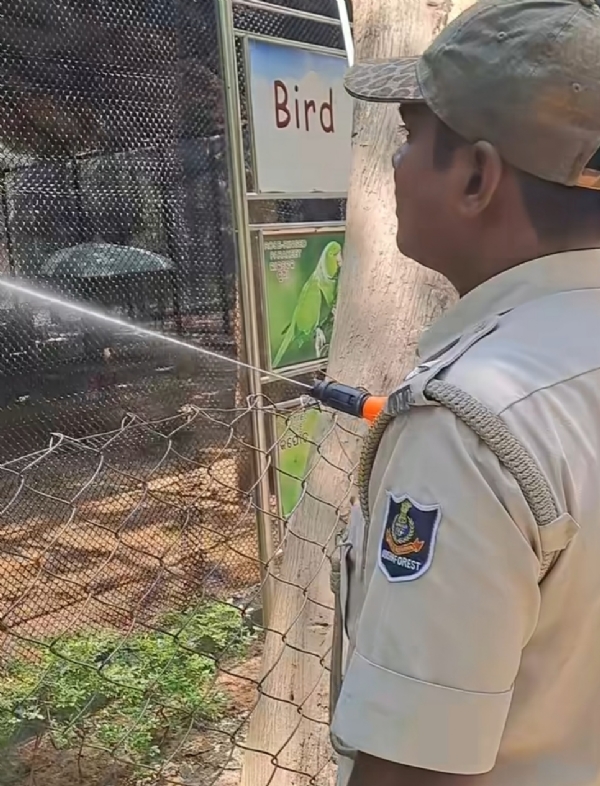 ମାତ୍ରାଧିକ ଗ୍ରୀଷ୍ମ ପାଇଁ ସମ୍ବଲପୁର ଚିଡିଆଖାନାରେ  ପଶୁପକ୍ଷୀଙ୍କୁ  ଥଣ୍ଡା ପାଣି ସ୍ପ୍ରେ