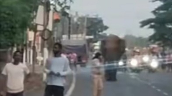 ଭୁବନ ସହରରେ ହାତୀ ବୁଲିଲା