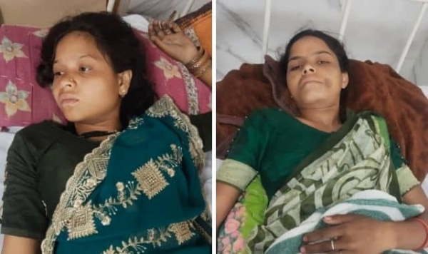 Bear attack 2 injured