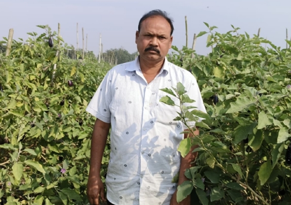 ଚାଷ କରିଛି କୋଟିପତି,୧୦୦ ରୁ ଉର୍ଦ୍ଧ୍ବ ଲୋକଙ୍କୁ ଦୈନିକ ଦେଉଛନ୍ତି ରୋଜଗାର,ମୁଖ୍ୟମନ୍ତ୍ରୀ ଦେଇଛନ୍ତି ପୁରସ୍କାର,ବିଭାଗର ଅଣ ଦେଖା,ପ୍ରୋସ୍ଵହନ ମିଳିଲେ ୫୦୦ ଲୋକଙ୍କୁ ରୋଜଗାର ଦେବା ଲକ୍ଷ୍ୟ