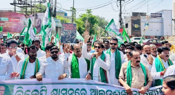 bjd