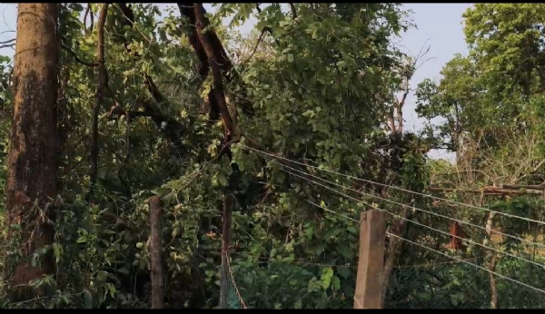 ନିଶ୍ଚିତ ମୃତ୍ୟୁମୁଖରୁ  ଅଳ୍ପକେ ବର୍ତ୍ତିଲେ ୫ ପରିବାର