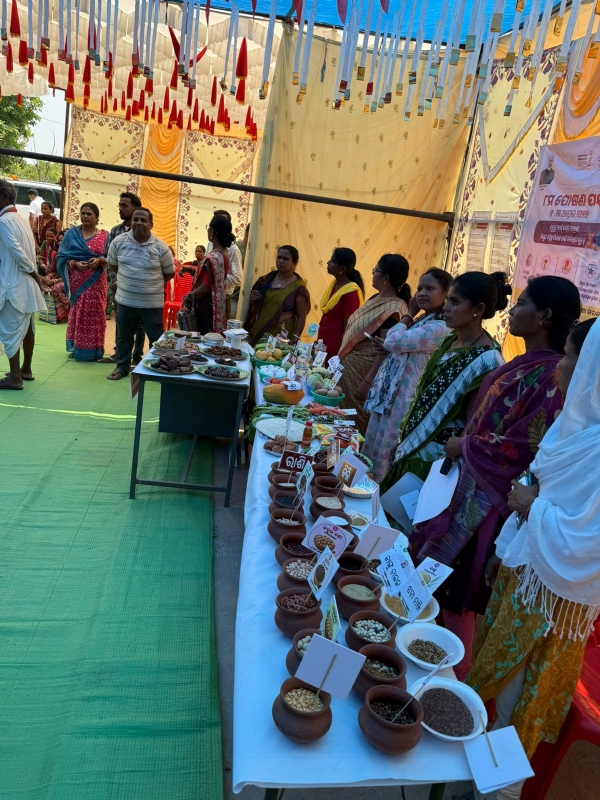 ମାଲକାନଗିରି ଜିଲ୍ଲା ସ୍ତରୀୟ ମିଳିତ ଅଭିଯୋଗ ଶୁଣାଣି: ବି.ଏଲ.ପୁରରେ ୨୮ ଅଭିଯୋଗର ସମୀକ୍ଷା ସହ ଭତ୍ତା ବଣ୍ଟନ ଓ ଅଙ୍ଗନବାଡି