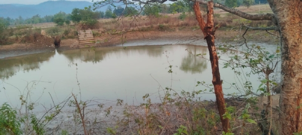 ଗାଧୁଆ ବନ୍ଧ ହିଡ଼ ଭାଙ୍ଗିଦେଲେ ଦୁର୍ବୃତ୍ତ : ଗାଧୋଇବା ପାଣି ପାଇଁ ହାହାକାର ଗାଧୁଆ ବନ୍ଧ ହିଡ଼ ଭାଙ୍ଗିଦେଲେ ଦୁର୍ବୃତ୍ତ : ଗାଧୋଇବା ପାଣି ପାଇଁ ହାହାକାର