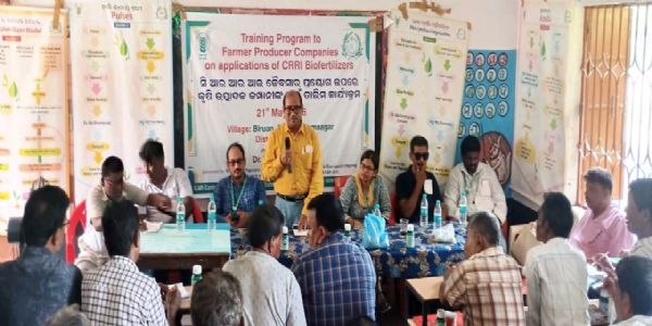 ଚାଷରେ ଜୈବସାର ବ୍ୟବହାରକୁ ଗୁରୁତ୍ୱ : ଧାମନଗରରେ ଚାଷୀଙ୍କ ପାଇଁ ତାଲିମ ଶିବିର, ରାସାୟନିକ ସାରର କୁପ୍ରଭାବ ନେଇ ସଚେତନତା, ଜୈବସାର ଓ ପ୍ରାକୃତିକ ପଦ୍ଧତି ଆପଣାଇବାକୁ ପରାମର୍ଶ