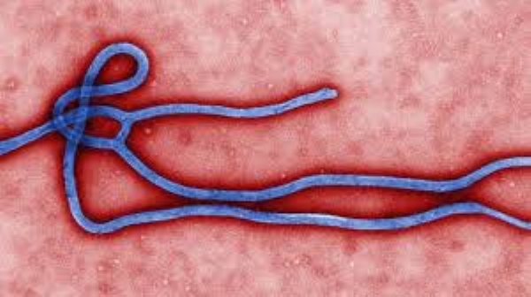 Ebola
