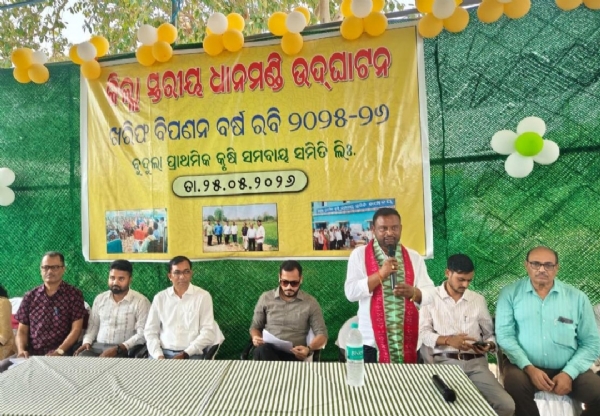 ଆଗଲପୁର ବ୍ଲକ୍ ଅନ୍ତର୍ଗତ ବୁଦୁଲା ଠାରେ ରବି ଧାନ ସଂଗ୍ରହ ମଣ୍ଡି ଆନୁଷ୍ଠାନିକ ଭାବେ ଆରମ୍ଭ