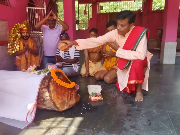 ମଙ୍ଗଳା ମନ୍ଦିରରେ ଜଗନ୍ନାଥଙ୍କ ଦାରୁ ବିଗ୍ରହ ନିର୍ମାଣ କାର୍ଯ୍ୟ ଶୁଭାରମ୍ଭ