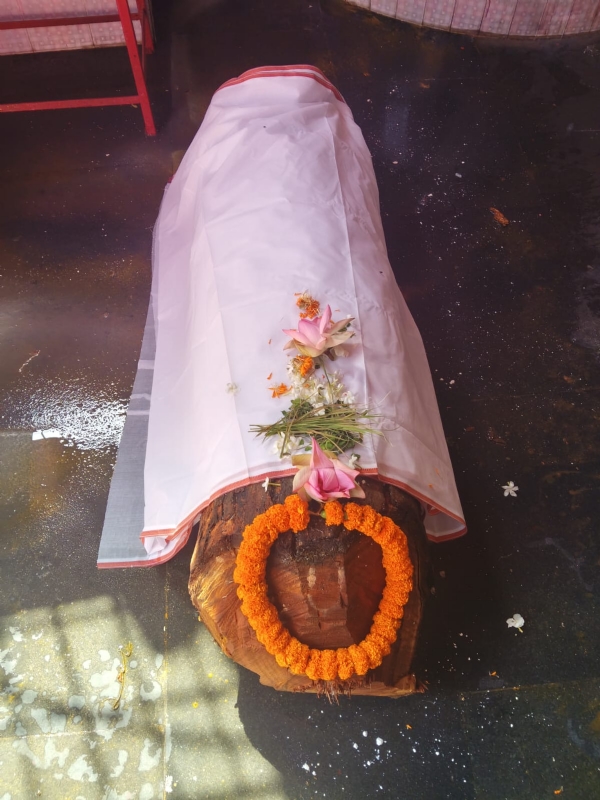 ମଙ୍ଗଳା ମନ୍ଦିରରେ ଜଗନ୍ନାଥଙ୍କ ଦାରୁ ବିଗ୍ରହ ନିର୍ମାଣ କାର୍ଯ୍ୟ ଶୁଭାରମ୍ଭ