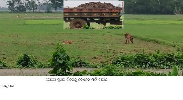 କୋରୋ ଶ୍ମଶାନ ନିକଟରୁ ବେଧଡକ ମାଟି ଚାଲାଣ । କୋରୋ ଶ୍ମଶାନ ନିକଟରୁ ବେଧଡକ ମାଟି ଚାଲାଣ ।