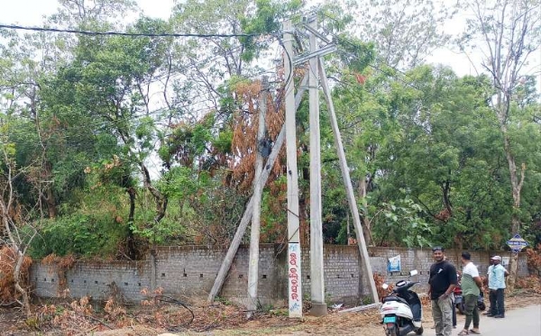 ଟାଟା ପାୱାର ର ଖାମଖିଆଲି ନୀତି ଯୋଗୁଁ  ବିଦ୍ୟୁତ ସମ୍ପର୍କରେ ଗର୍ଭିଣୀ ଗାଈର ମୃତ୍ୟୁ