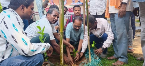 bhandaripokhari bjp  brukhya ropana