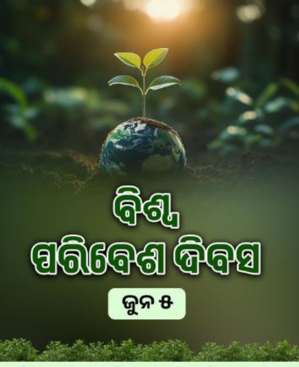 ପରିବେଶ ପରିବେଶ