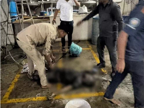 जहरीली गैस की चपेट में आने से हादसा