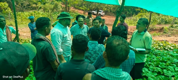 ନାଗୁଲୁର ଠାରେ ଥିବା ଜାଫ୍ରା ନର୍ସରୀ ପରିଦର୍ଶନ କଲେ ଜିଲ୍ଲାପାଳ