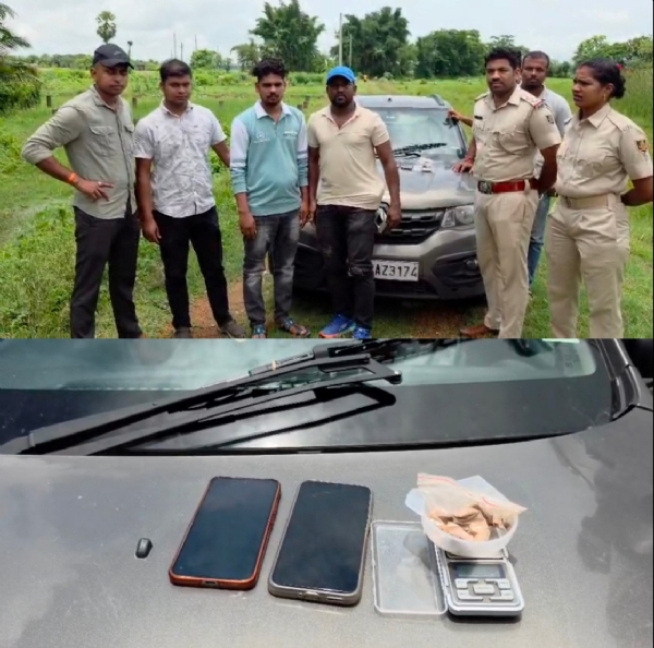 BRAUNSUGAR O CAR SAHA JUBAK GIRAF BRAUNSUGAR O CAR SAHA JUBAK GIRAF