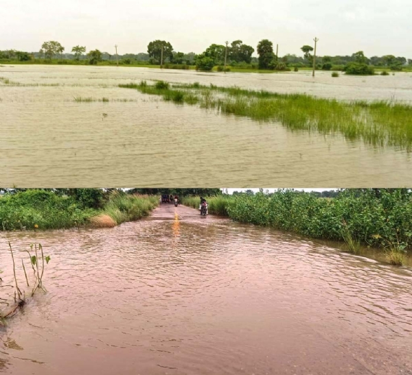DHAMNAGAR RE LAGHUCHAP BARSA DHAMNAGAR RE LAGHUCHAP BARSA