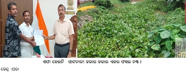 ସଫା ହେଉନି ପାଟନାଳୀ ହଜାର ହଜାର ଏକର ଫସଲ ନଷ୍ଟ ।