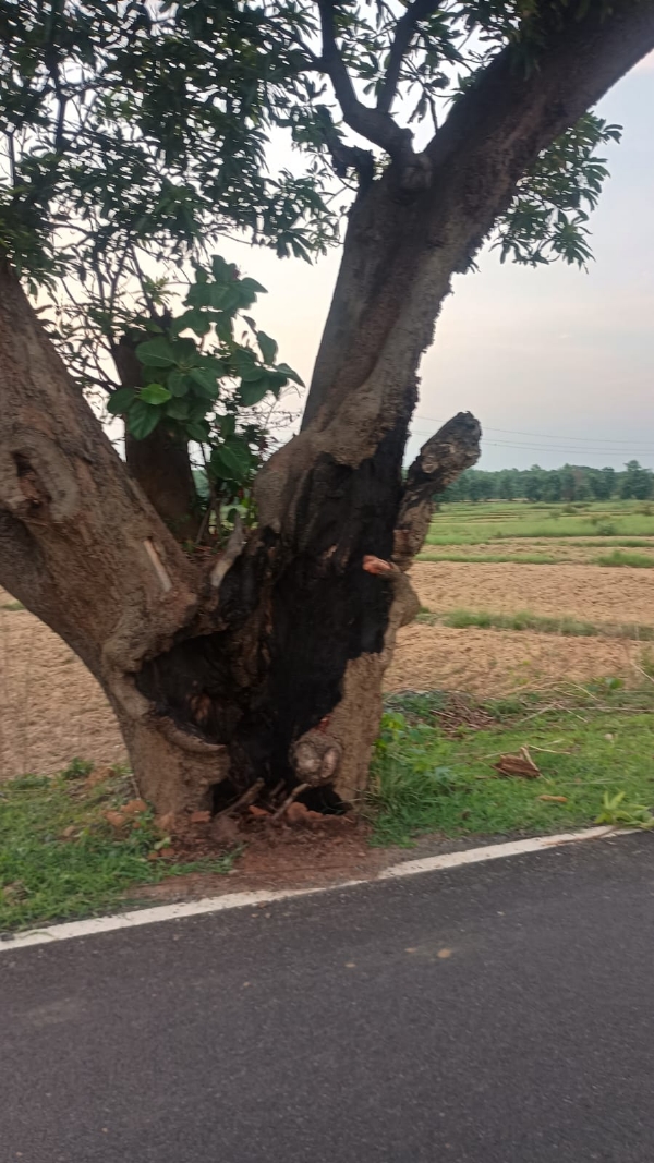 Road in danger
