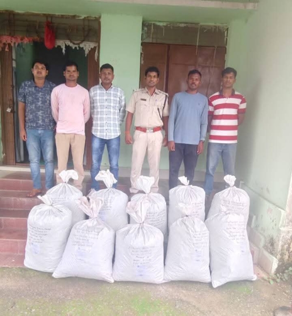 ସିଲିଗୁମ୍ମା  ଗ୍ରାମ ଜଙ୍ଗଲରୁ ୪୦୦ କିଲୋଗ୍ରାମ ଗଞ୍ଜେଇ ଜବତ