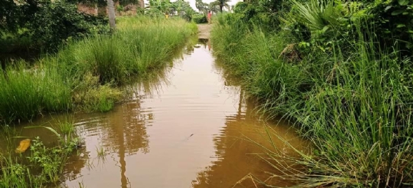 DHAMNAGAR BARSA JANITA DURDASA DHAMNAGAR BARSA JANITA DURDASA