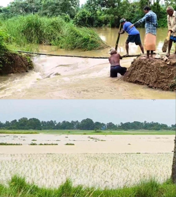 TIHIDI BLOCK LANJATARA