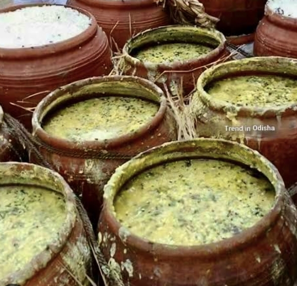 ନୀଳକନ୍ଦରରେ ନିଳାଦ୍ରିନାଥ ଭକ୍ତ ପାଇଲେ ନୀଳାଚଳ ଅବଢା